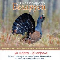Photo exhibition &quot;Wildlife of Belarus&quot;