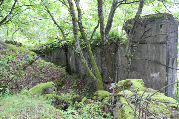 Pillbox(DOT) №34