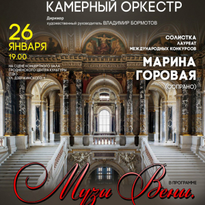 VIENNA MUSE