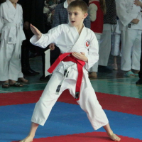 Otwarte mistrzostwa regionalne w szotokan karate-do &quot;ZIMA-2020&quot; m.Zelwa