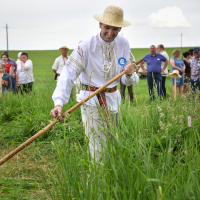 Festival &ndash; contest of kostsov &laquo;Lіpnіshkaskіya senakosa&raquo; 