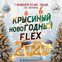 "Красивый/ крысиный новогодний FLEX", городская новогодняя концертно-развлекательная ночная программа, праздничный фейерверк