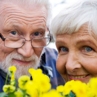 "To you, dear veterans and elderly people" 