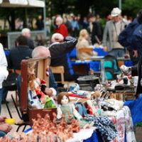 Exhibitions  "Garadzensky Scarabei" 
