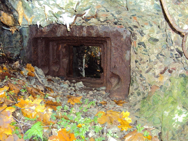 Pillbox(DOT) №15