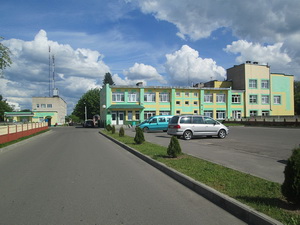 卫生医疗机构的"中央沃羅諾夫镇医院"