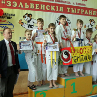 11-e Republikańskie mistrzostwa w szotokan karate-do "Zelwieńskie tygrysy"