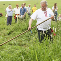 The Lipni&scaron;kovski Haymaking Festival