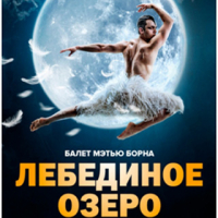 Theatre HD:  Jezioro łabędzie