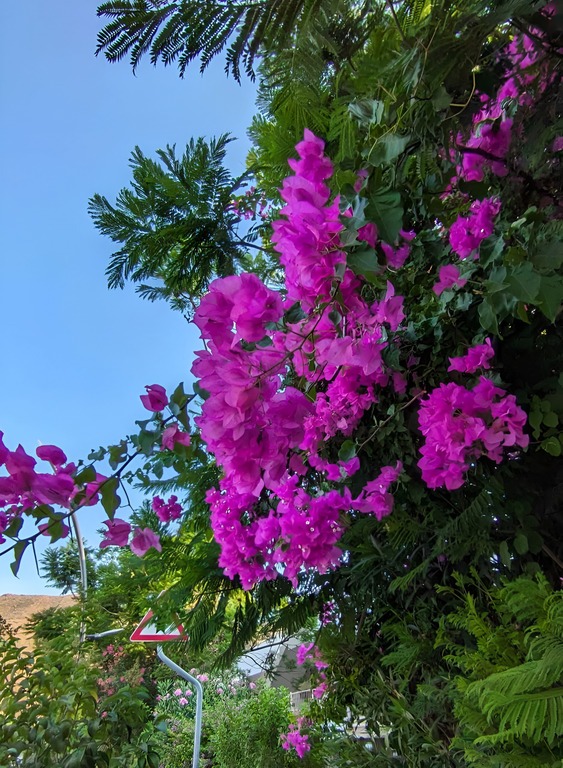 Туристическое агентство «Горячие туры»