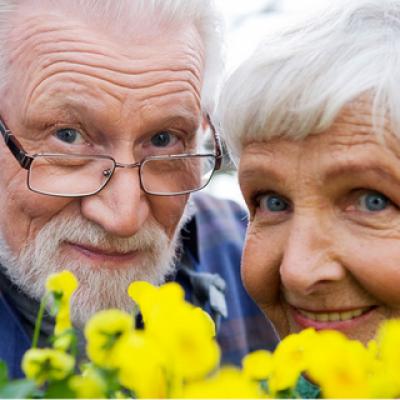 Cultural and entertainment program "To you, dear veterans and elderly people"