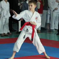Open regional competitions in shotokan karate-do &ldquo;Winter -2020&rdquo; Zelva, Grodno region