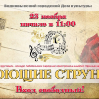 III Открытый региональный фестиваль-конкурс оркестров и ансамблей струнных народных инструментов &laquo;ПОЮЩИЕ СТРУНЫ&raquo; 