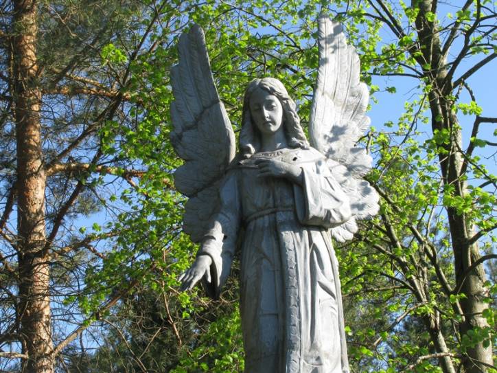 Angel on the graves of A. Protasevich
