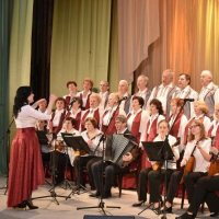 Regional festival of folk art of veteran collectives &laquo;Veterans do not age with soul&raquo;