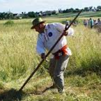 Holiday "Lipnishkovsky hayfields"