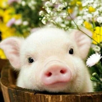 Selekcininkų atostogos &bdquo;Darbo žmogus - darbo žmogus&ldquo;