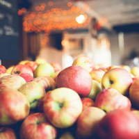 Яблочный фестиваль &laquo;Тарноўскі цуд&raquo; 