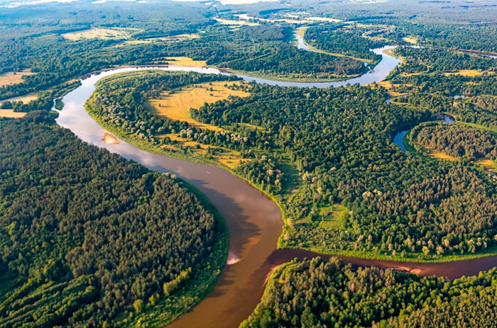 Государственное природоохранное учреждение "Республиканский ландшафтный заказник "Липичанская пуща"
