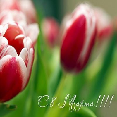 Events dedicated to the International Women's Day