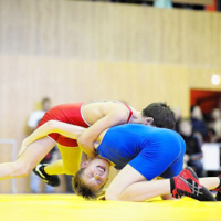 Open Republican freestyle wrestling tournament 