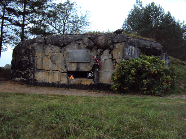 Pillbox(DOT) №20