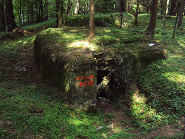 Pillbox(DOT) №23