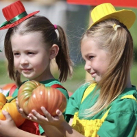 Holiday &laquo;Ivye Tomato&raquo;