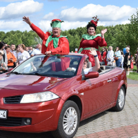 Holiday "Ivye Tomato"