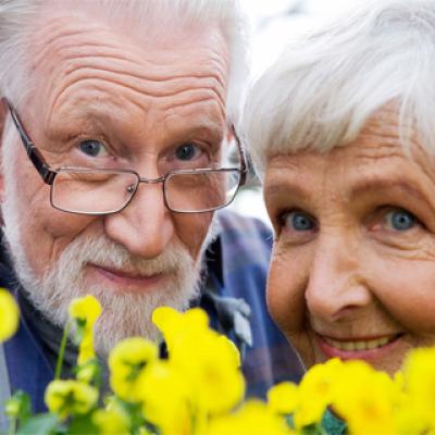 "To you, dear veterans and elderly people"