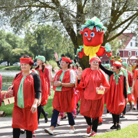 Holiday &laquo;Ivye Tomato&raquo;   