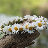 Фольклорный праздник &laquo;Каціўся вянок&raquo;