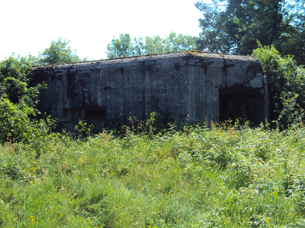 Pillbox(DOT) №19