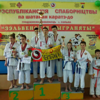 The 11th  Republican competitions in Shotokan Karate-Do “Tiger Cubs of Zelva” Zelva, Grodno region