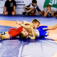 Open tournament in Greco - Roman wrestling 
