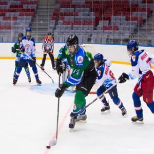 Ice Hockey Open Christmas Championship of Grodno for prizes of the Center of Physical Culture and Recreation &quot;Prinemansky&quot;