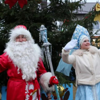 Holiday &laquo;Christmas tree in Elka&raquo;