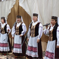 Праздник «Мой родны кут, як ты мне мілы», посвященный  610-летию д. Новый Двор