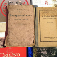 Wystawy  &quot;Garadzienski Skarabeusz&quot; 