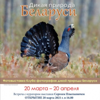 Photo exhibition "Wildlife of Belarus"