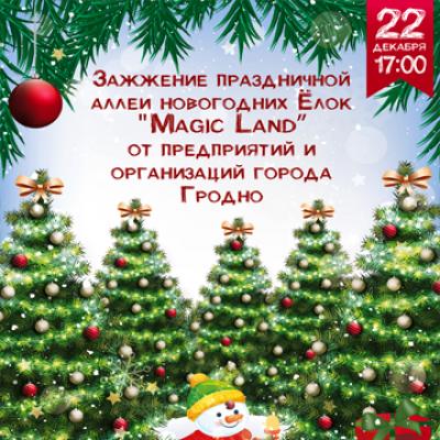 &laquo;Magiс Land&raquo;