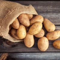 Праздник картошки &laquo;Бульбачка-беларусачка&raquo;