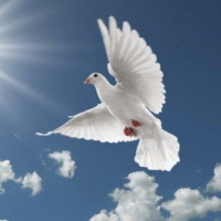 "FEELINGS, DISRAYED IN SOUNDS AND WORD"